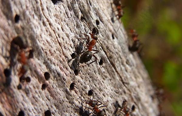 Muốn thành đại sự, đừng bỏ qua tiểu tiết